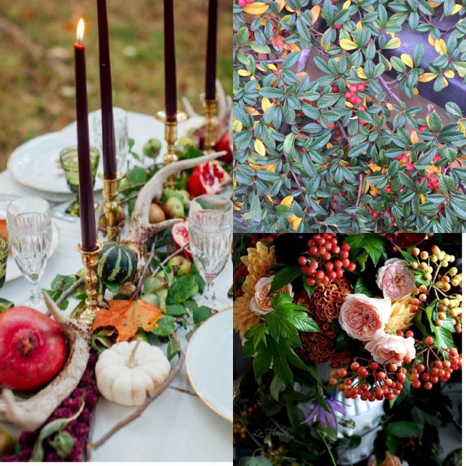 1896d9a3-10c7-47d2-a70b-5b08846d46d1